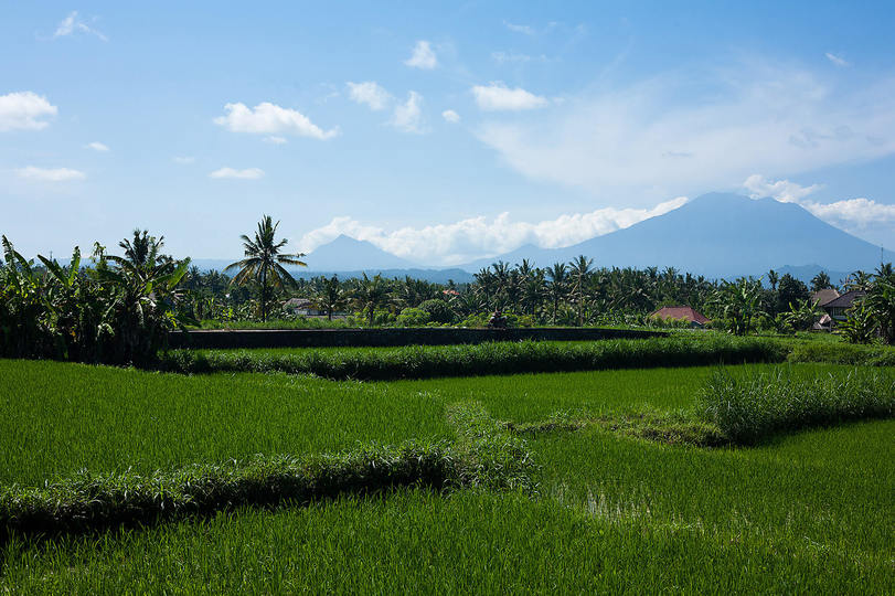 Sanctuary by the Tides of Bali – Bali Villa 1039