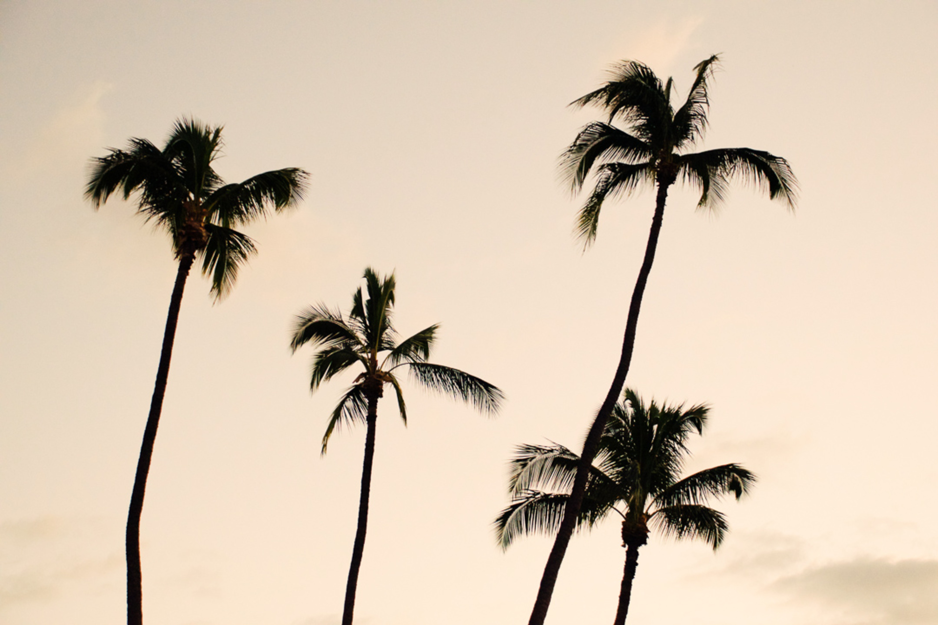 Private Beachside Escape with Lush Grounds – Bali Villa 1044