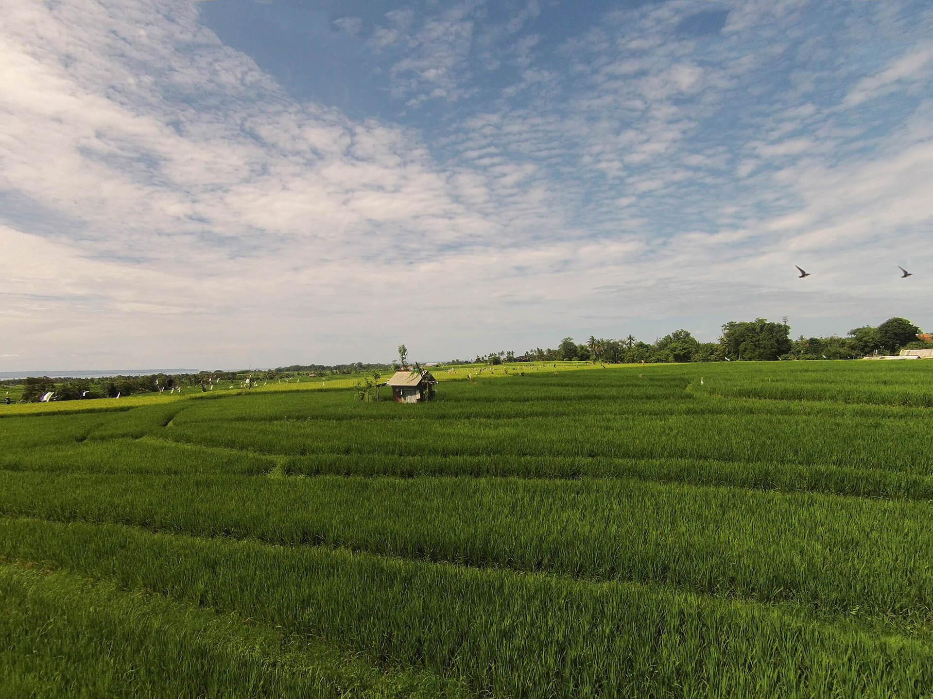 Elegance in Every Sunset – Bali Villa 1047
