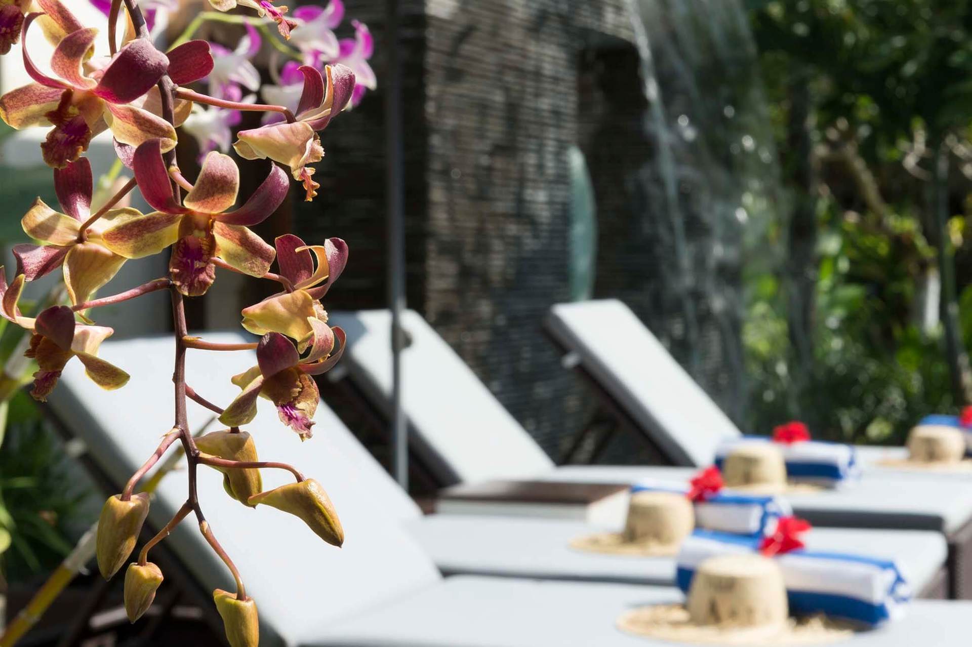 Luxury Tropical Villa with Private Pool, Bali Villa 1057