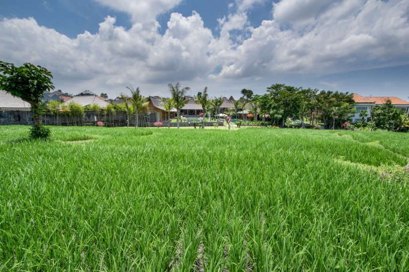 Enjoy a Holiday of a Lifetime Renting Your Own 5 Star Private Villa at the Best Rate in Kerobokan, Villa Bali 2008