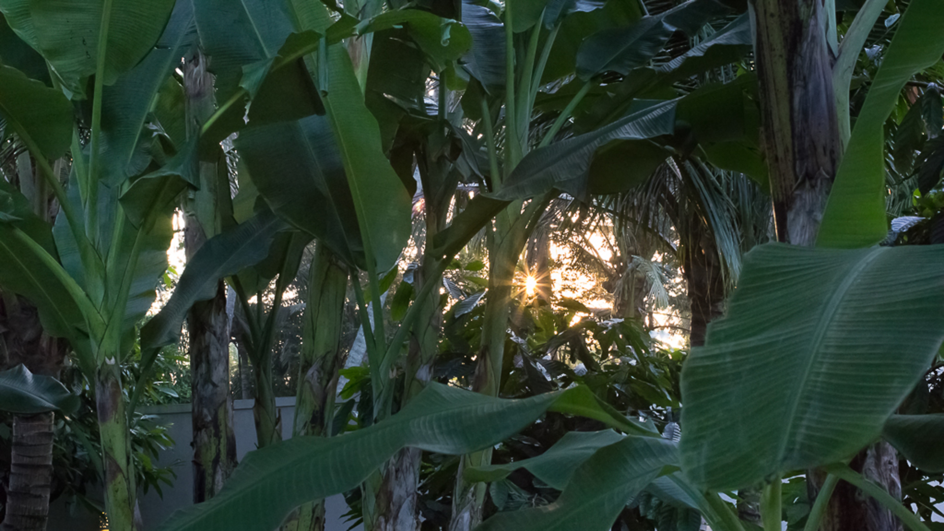 Beautiful 5 Star Holiday Villa in a Prime Location in Ubud, Book Early to Secure Your Dates, Villa Bali 2036