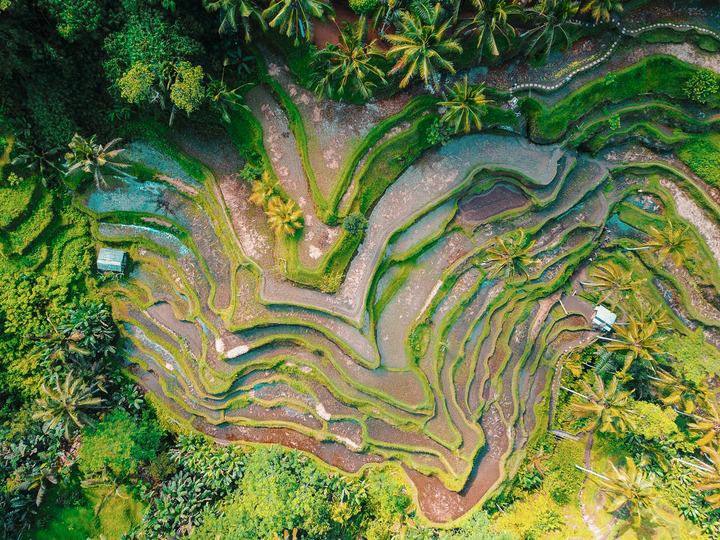 Beautiful Villa with Private Pool, Bali Villa 2049