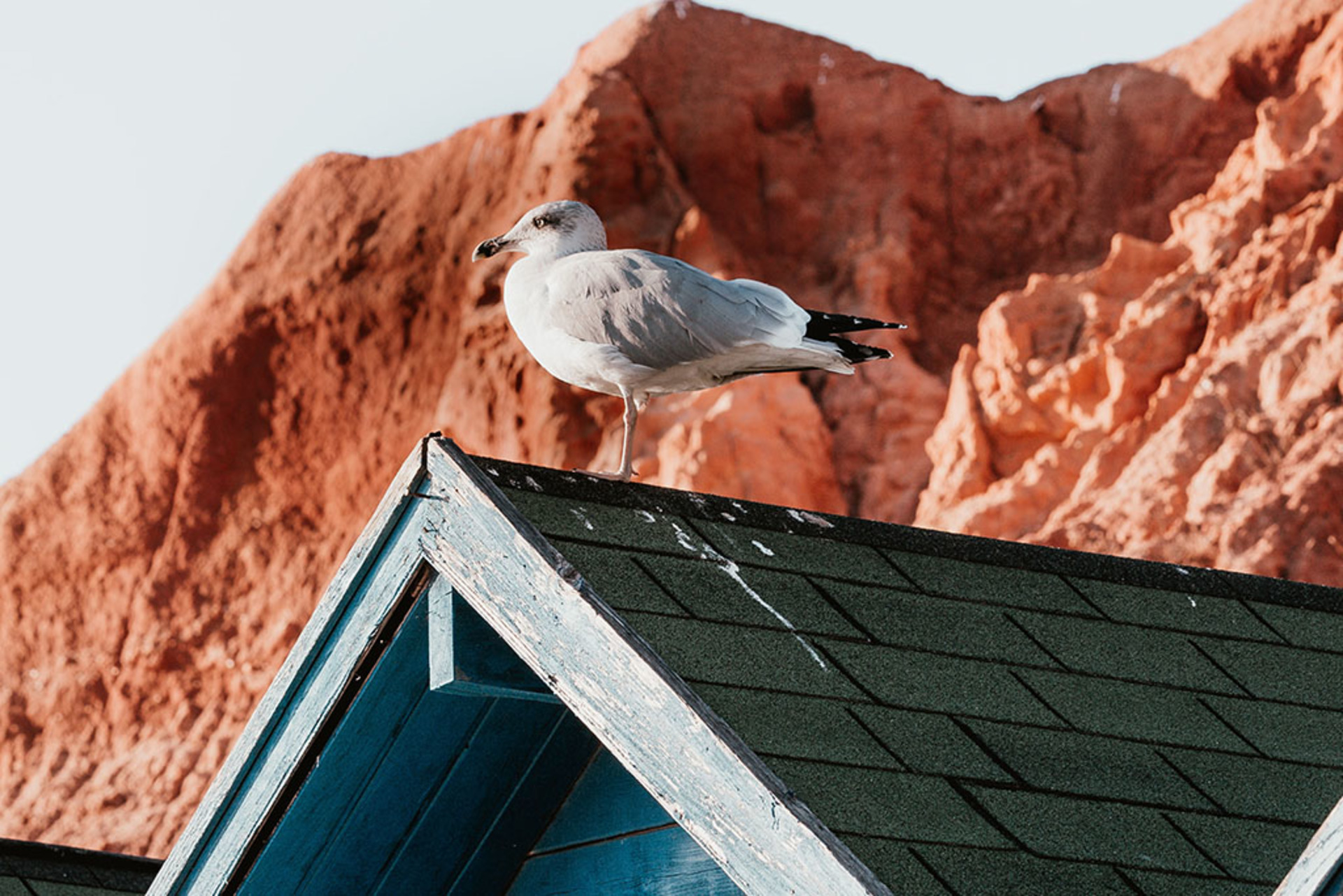 5 Star Villa Myosotis – Timeless Algarve Retreat