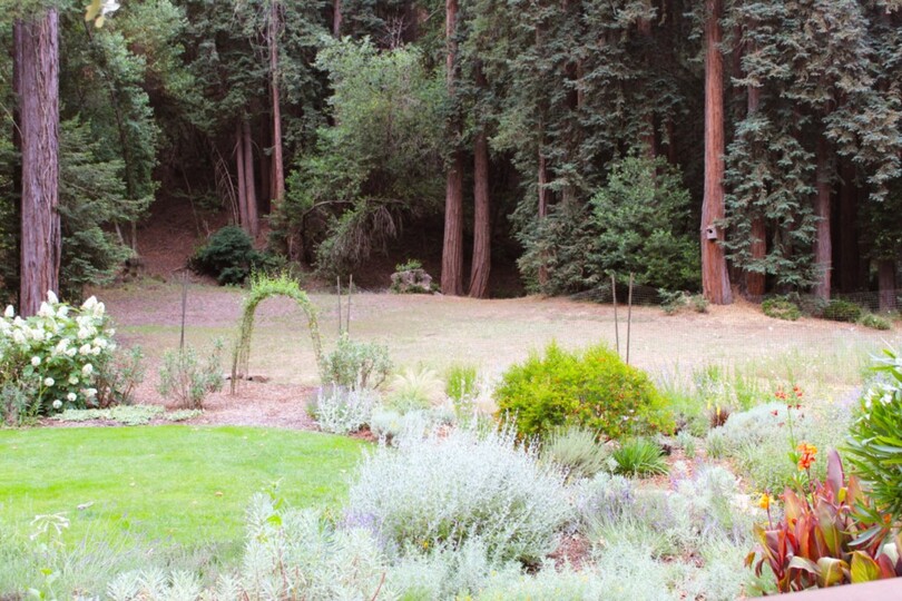 Charming House with Private Pool in Beautiful Location, Sonoma House 1008