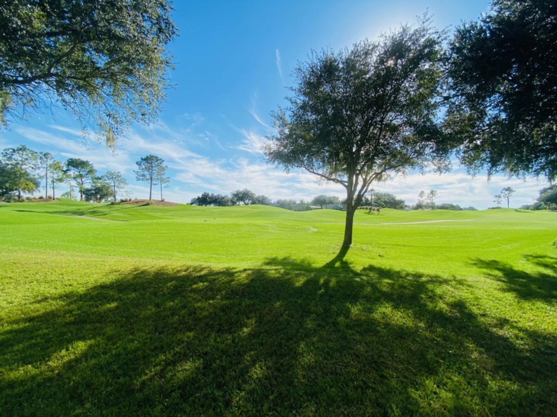 Luxury Contemporary Style Villa on The Abbey at West Haven, Florida Villa 5992