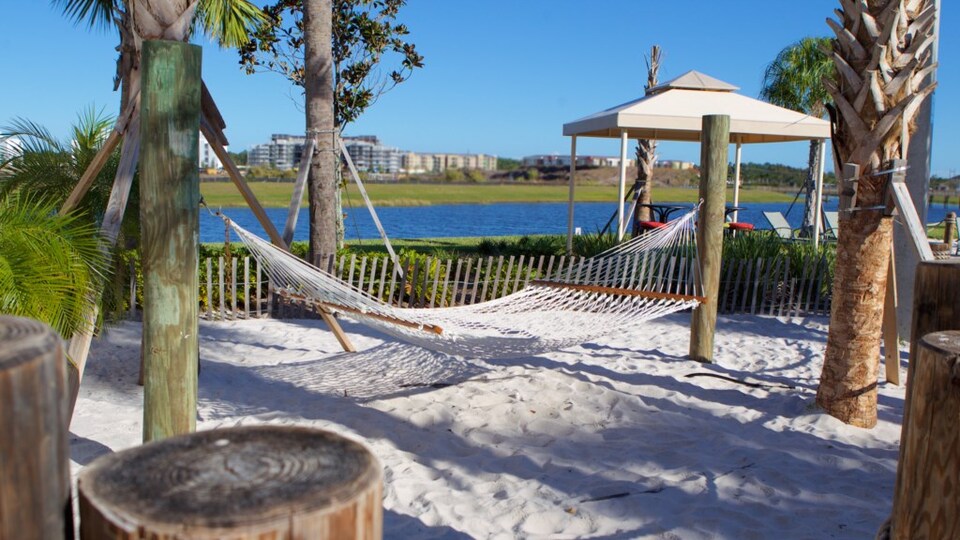 Luxury Townhome with Fantastic Private Pool on Storey Lake Resort, Florida Townhome 6074