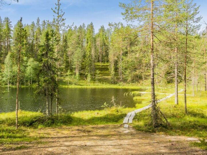 Magical Family Memories, Salla 1287