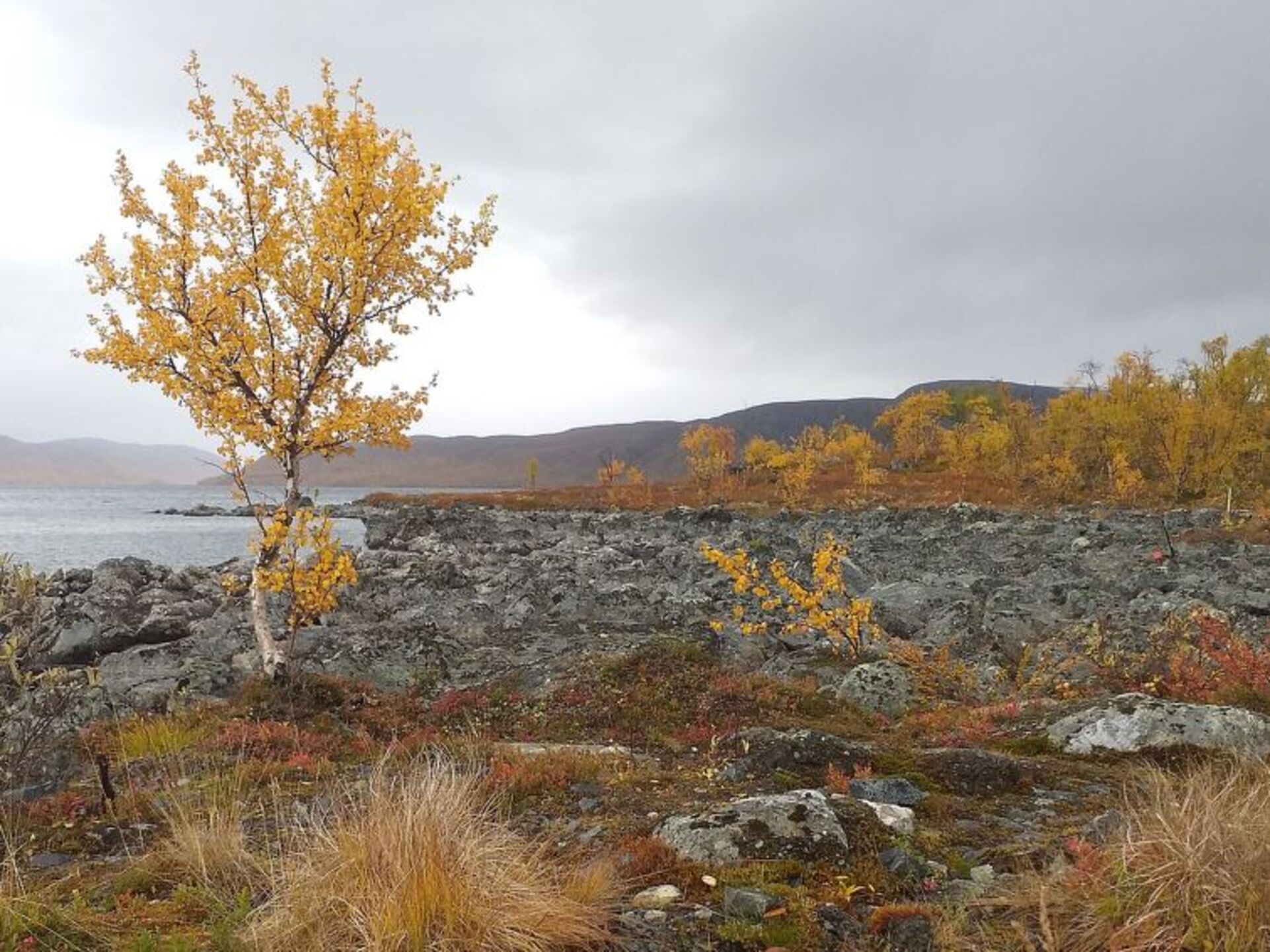 Outdoor