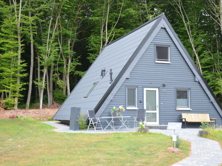 Secluded Gem: Elegant 3 Bed Villa, Hessen,1008, Bad Arolsen, Germany