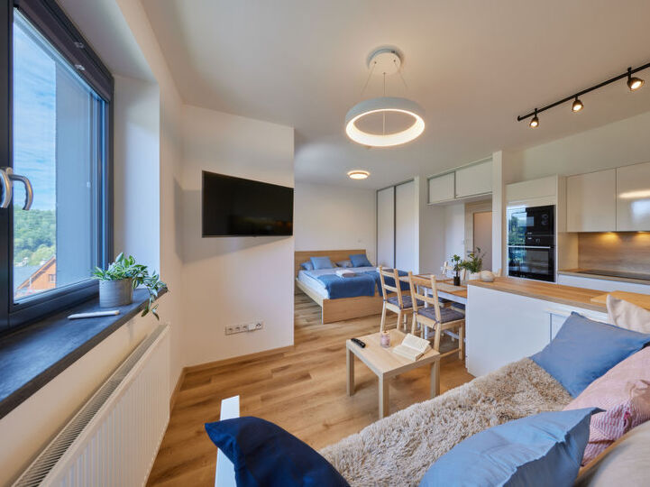 Experience Bliss in this One-Bedroom Villa,1020, Černý Důl, Czech Republic