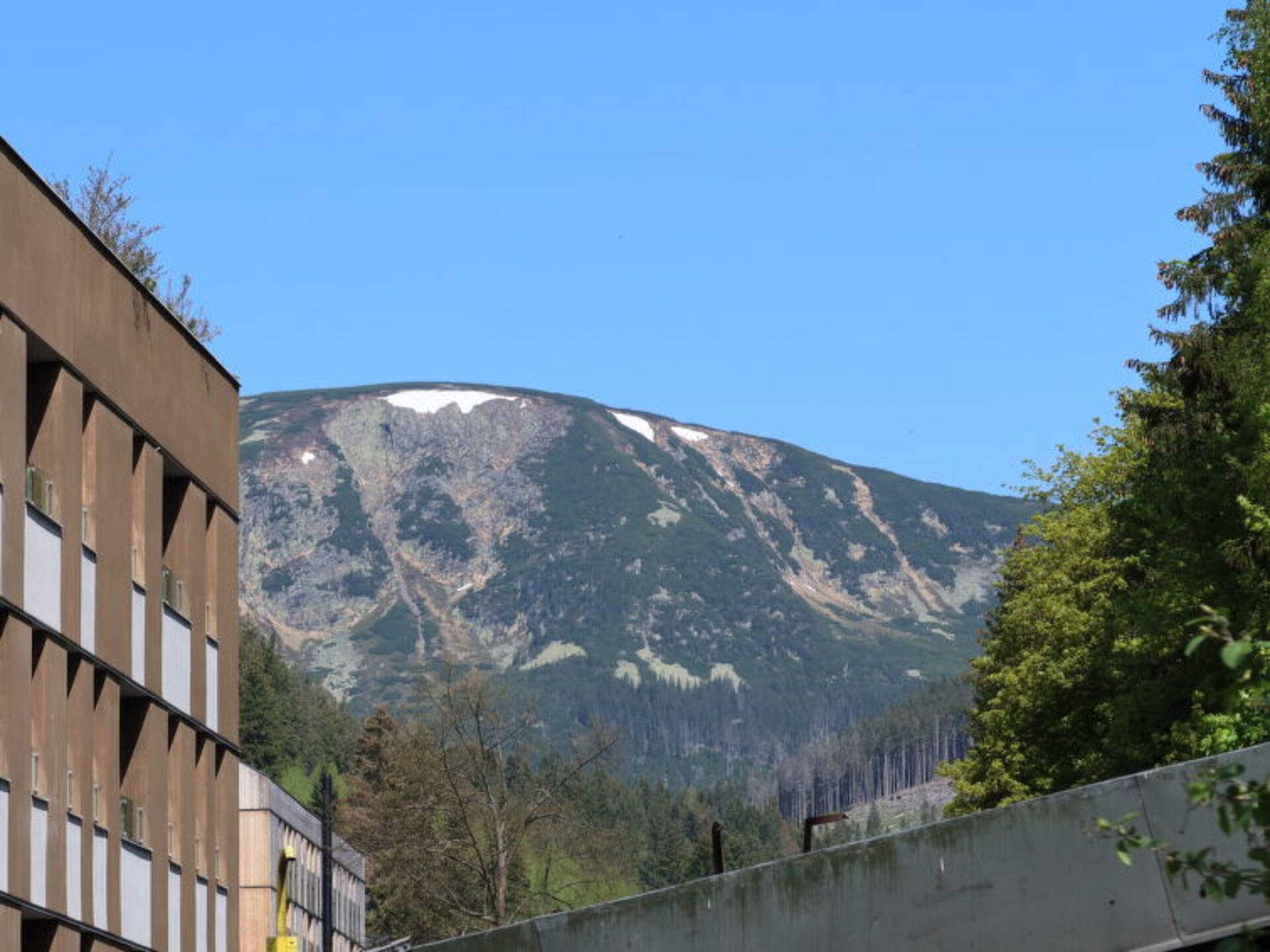View