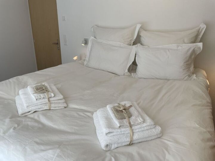 Cozy 2 Bedroom Villa in Saas-Fee, 1264