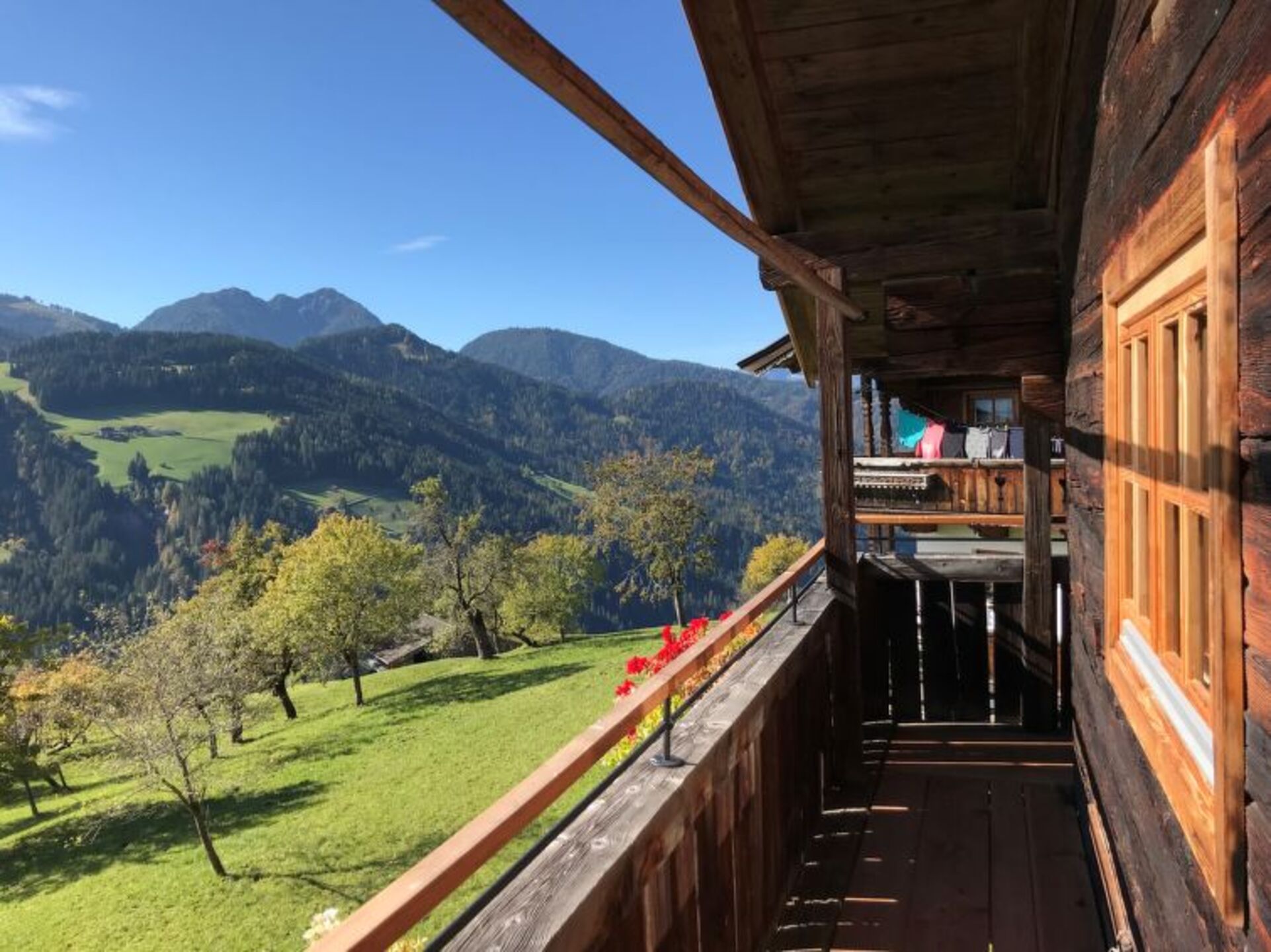 View