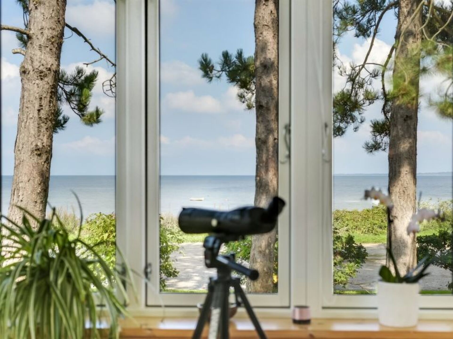View