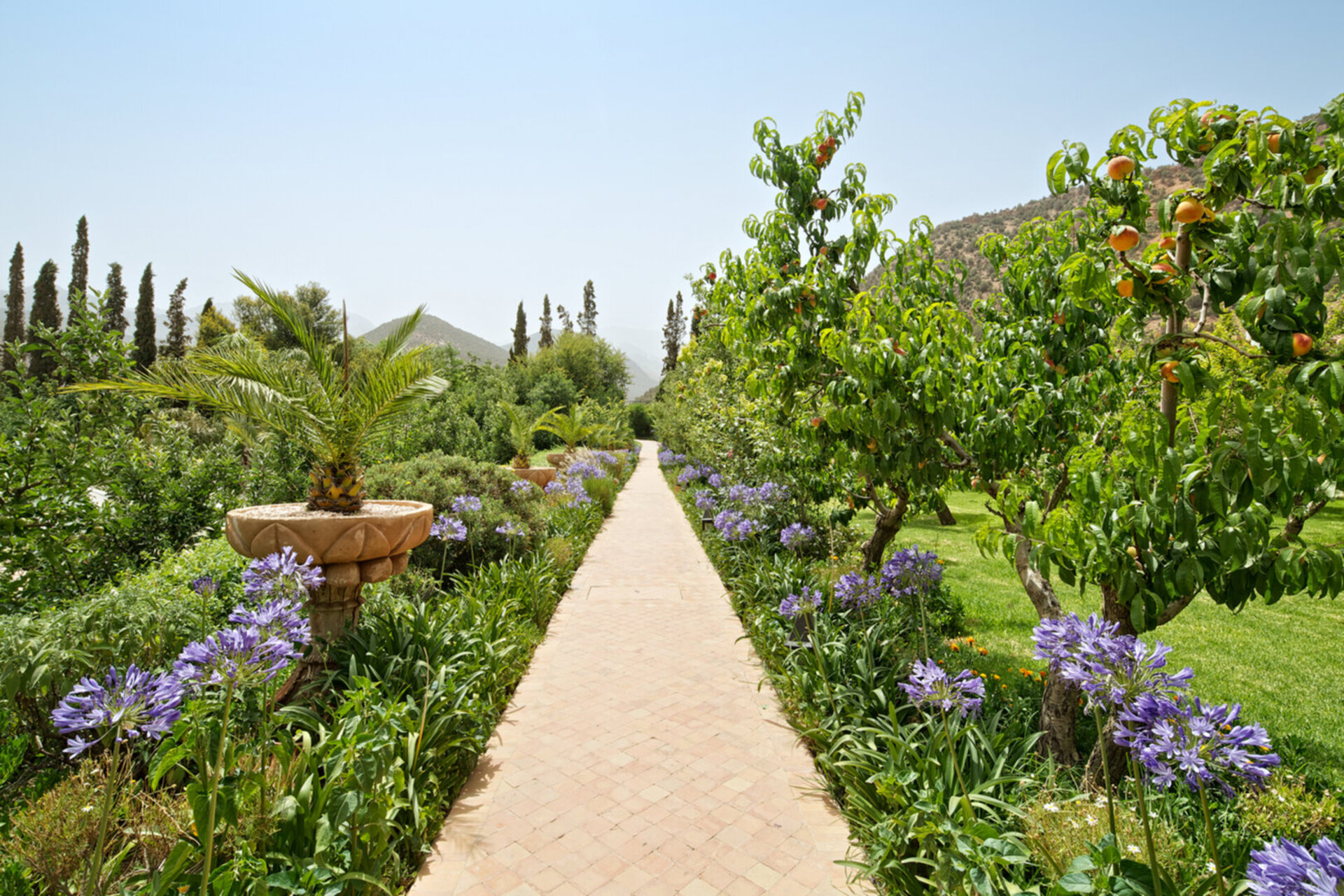 Timeless Retreat in the Atlas Mountains 1025