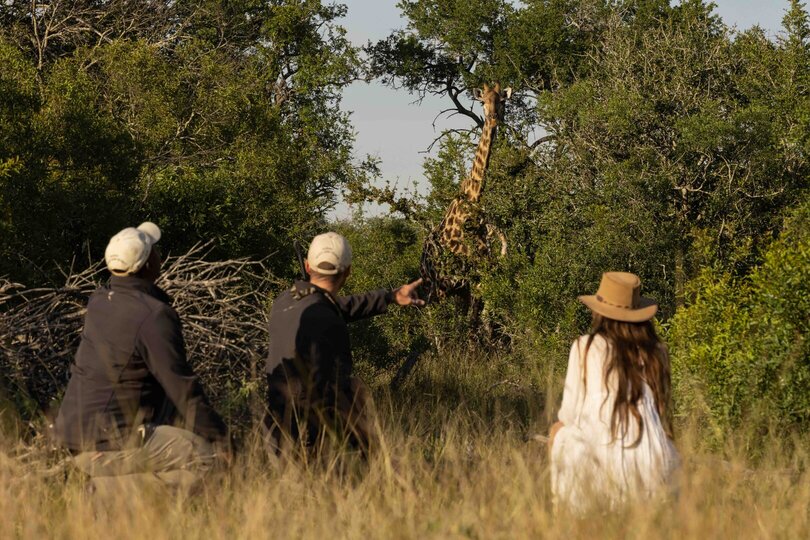 Ulusaba_Cliff 1030