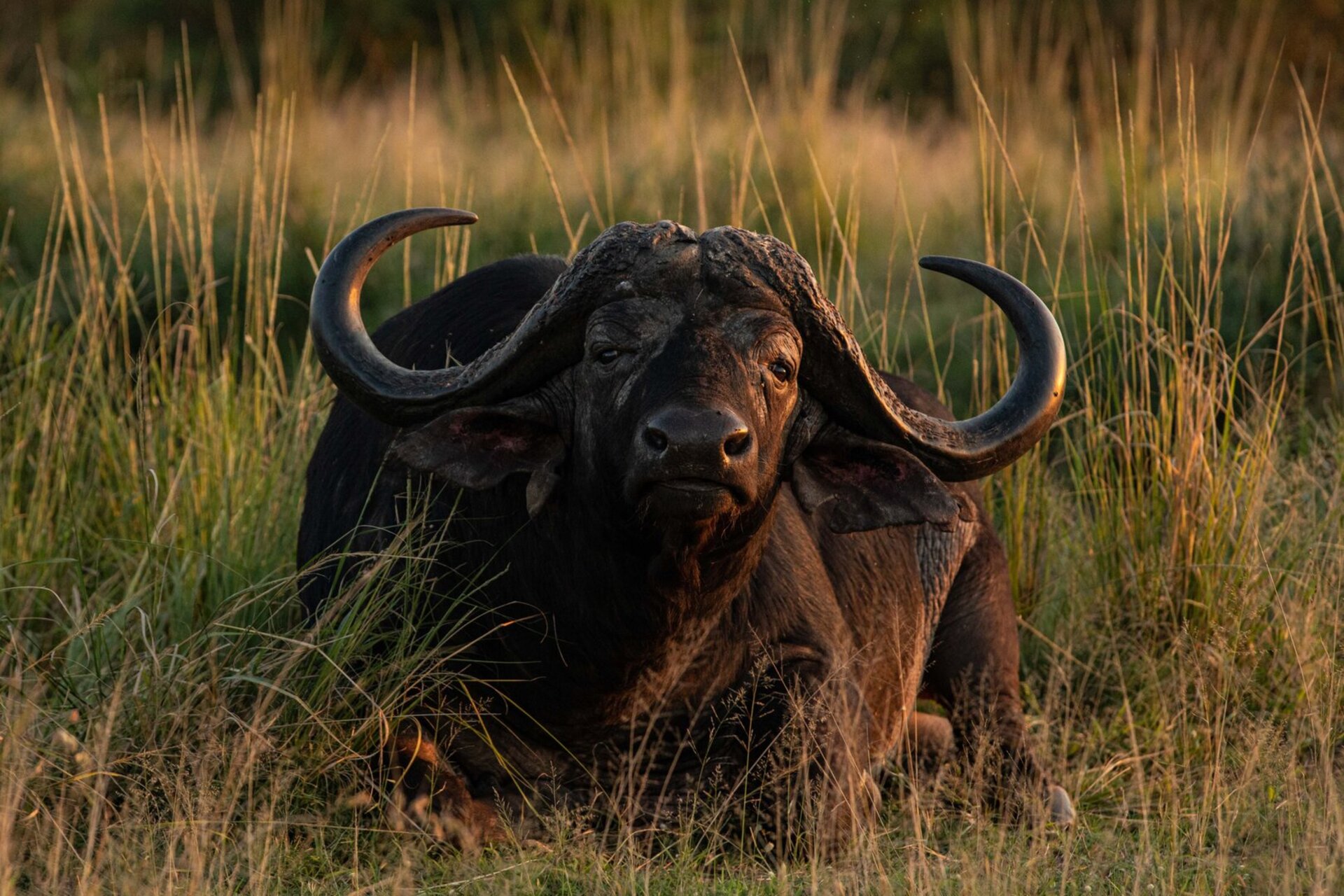 Ulusaba_Cliff 1030