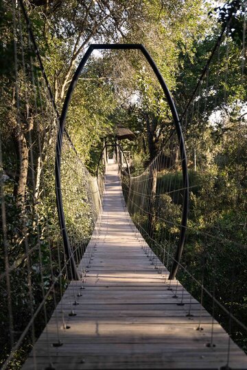 Tranquil Trails 1031