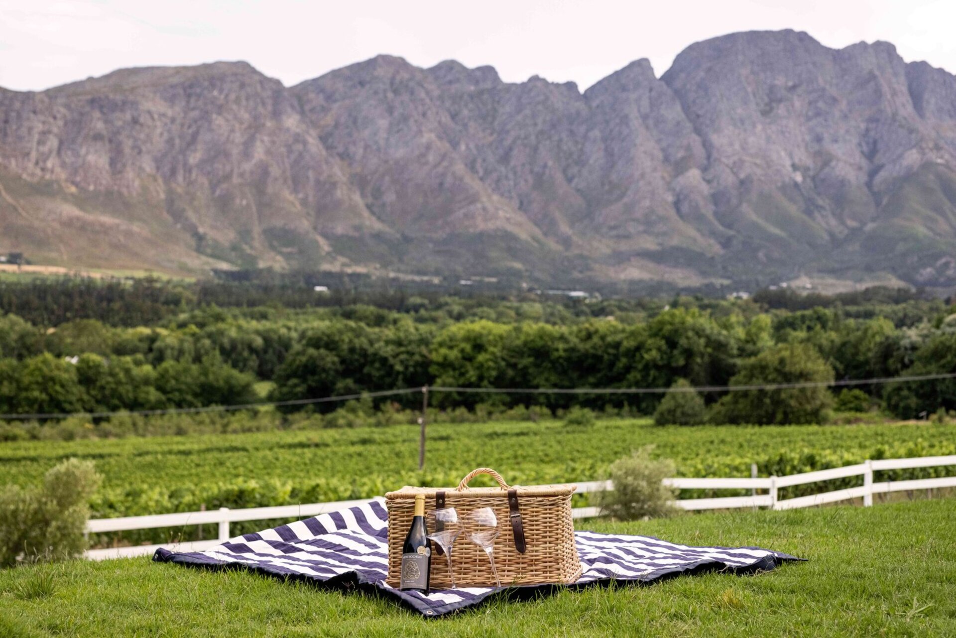 Elegant Shiraz Room with Vineyard & Mountain Views 1037
