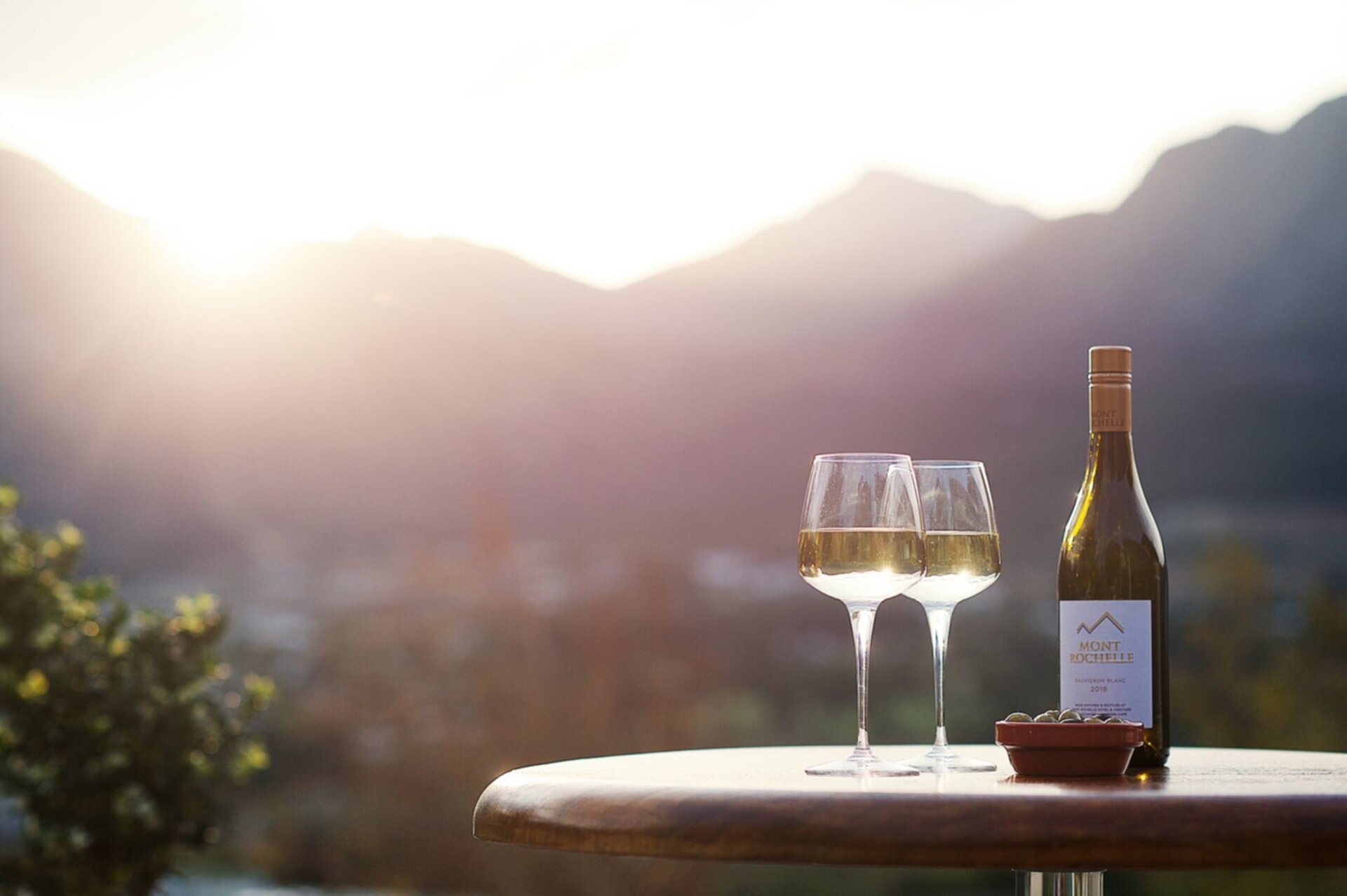 Elegant Pinotage Suites with Vineyard Mountain and Garden Views 1040
