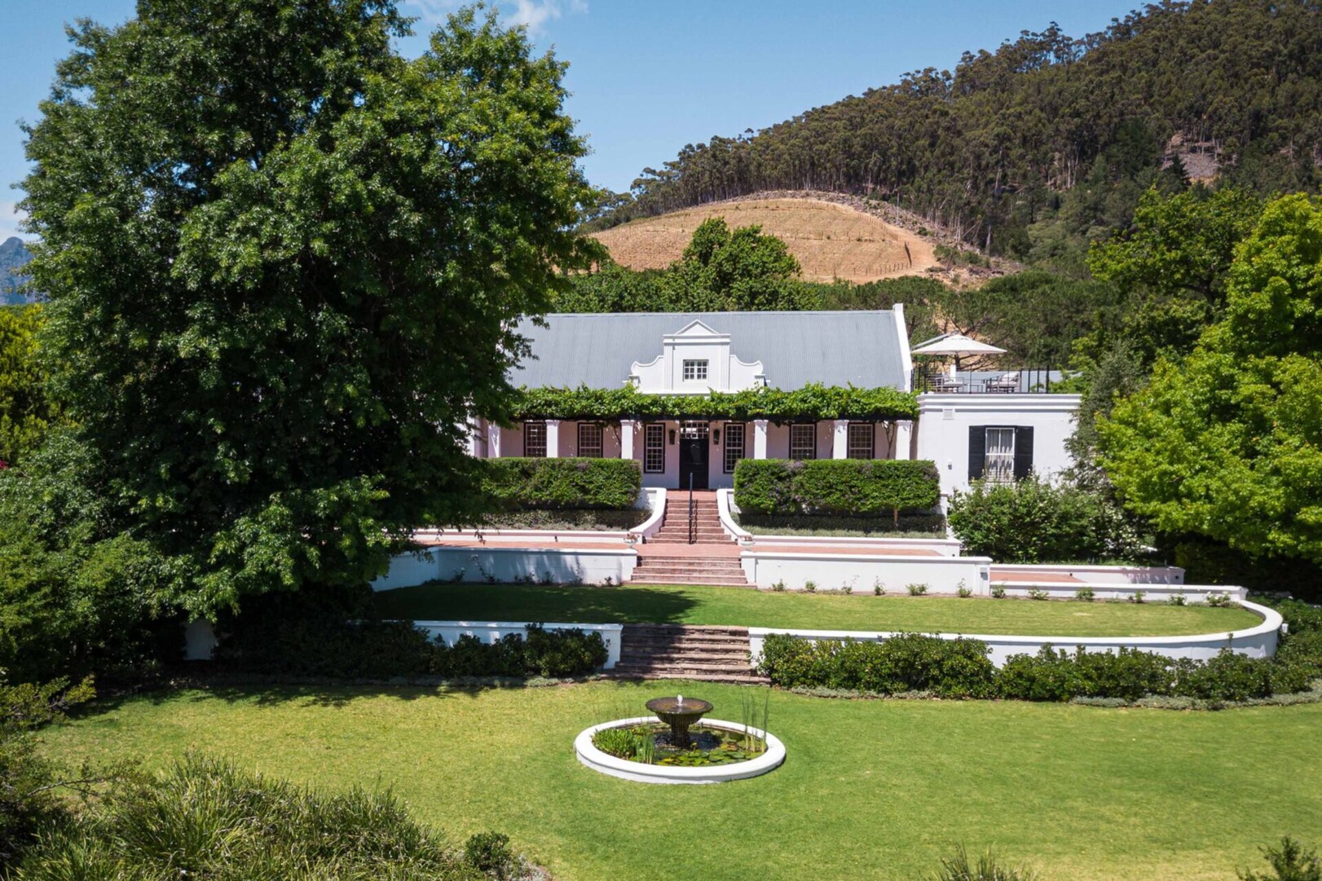 Cap Classique Vineyard Pool Suites with Private Pool 1043