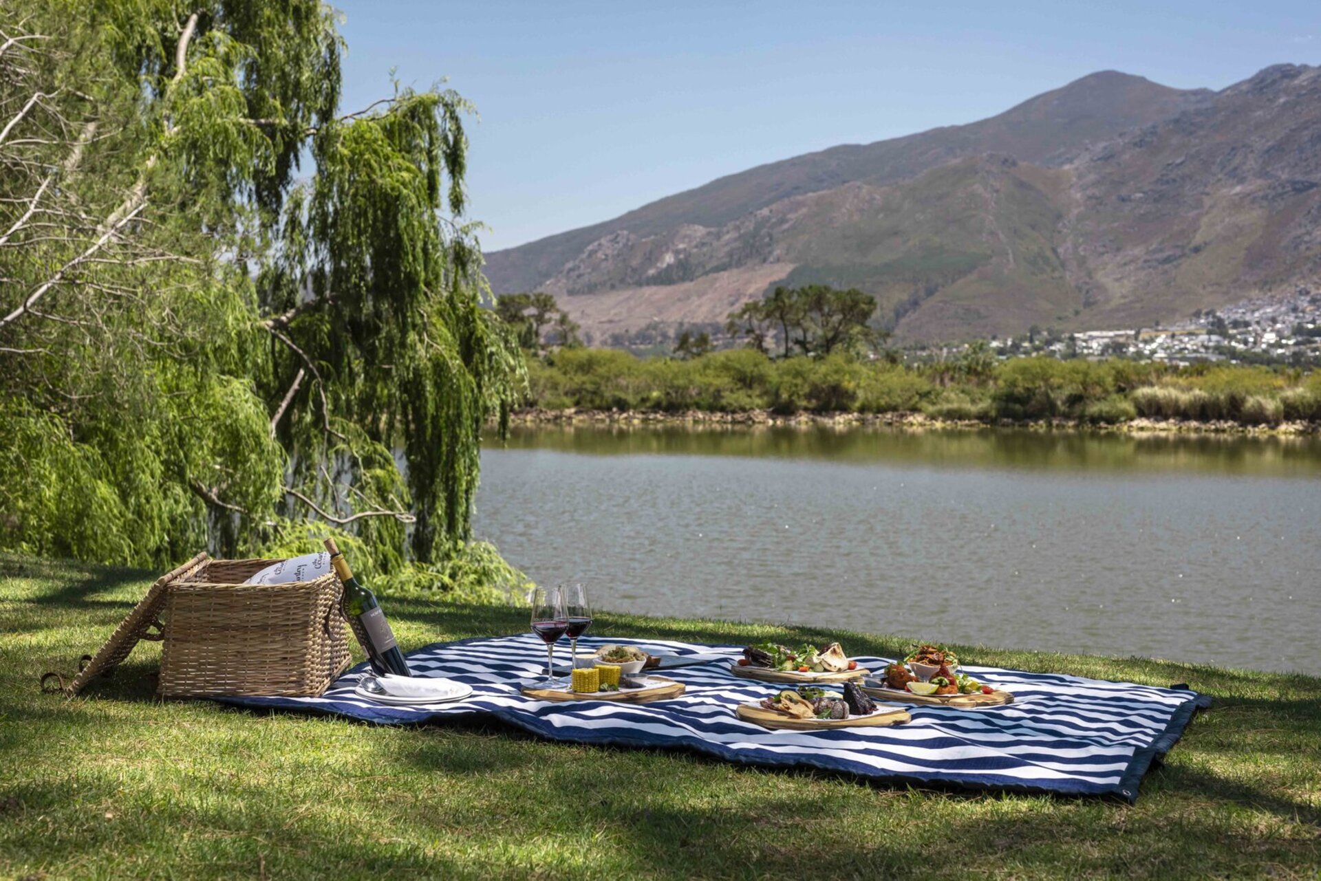 Cap Classique Vineyard Pool Suites with Private Pool 1043