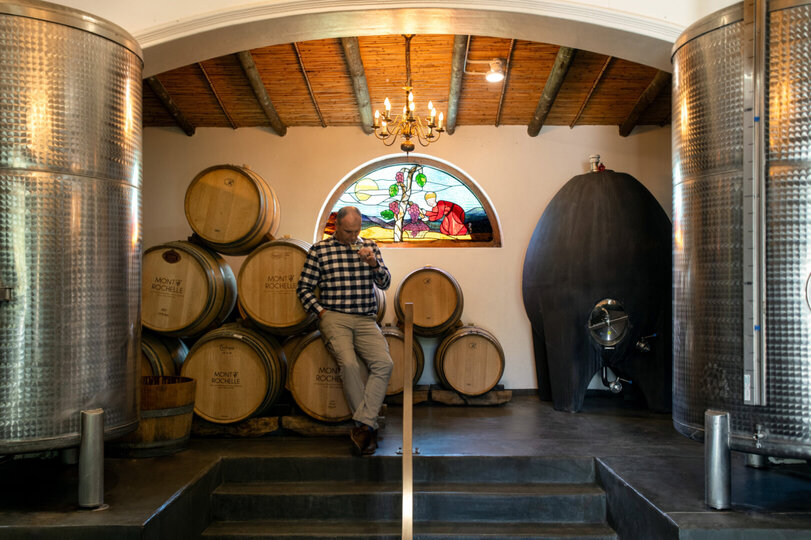 Cap Classique Vineyard Pool Suites with Private Pool 1043