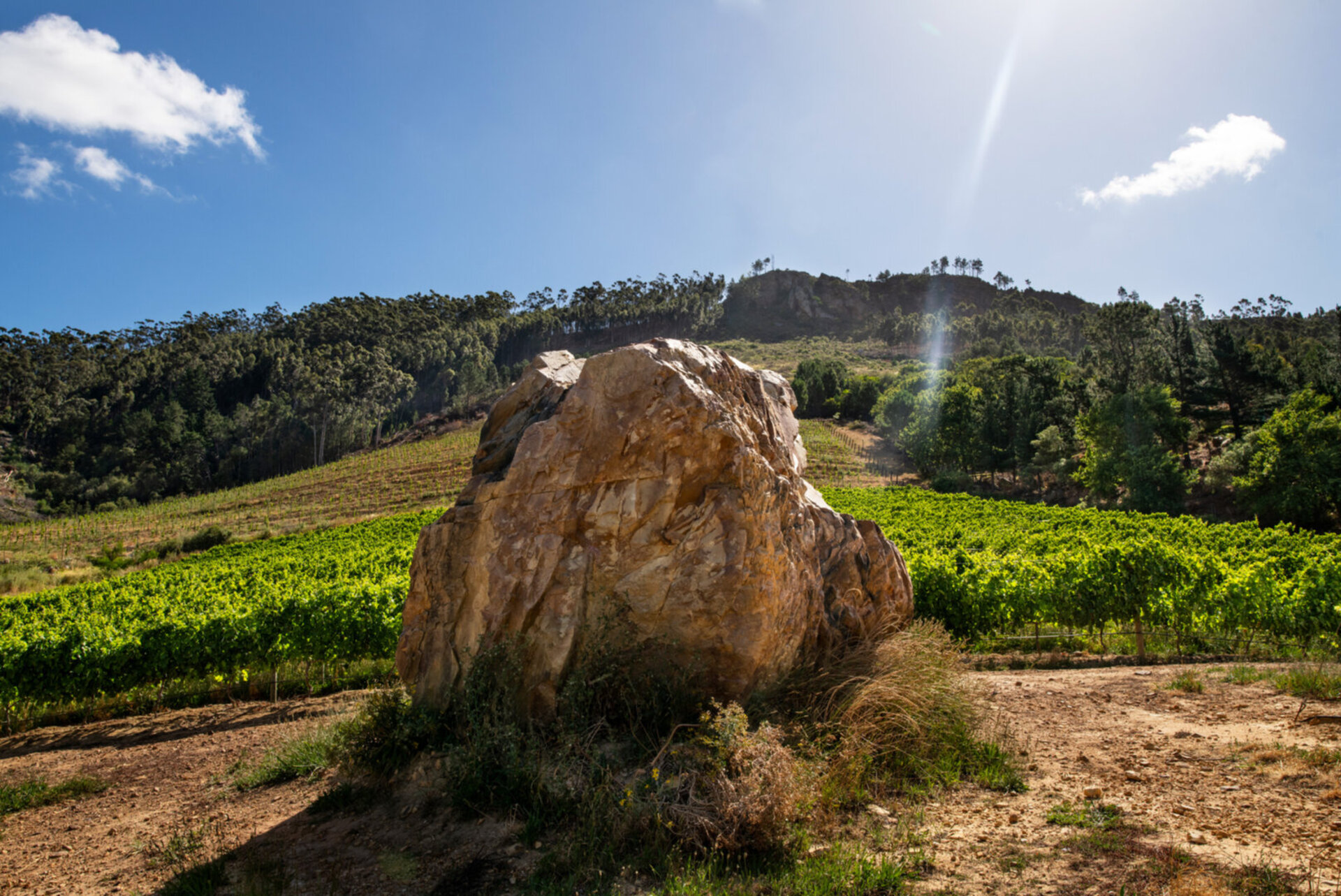 Loft Suite 1046