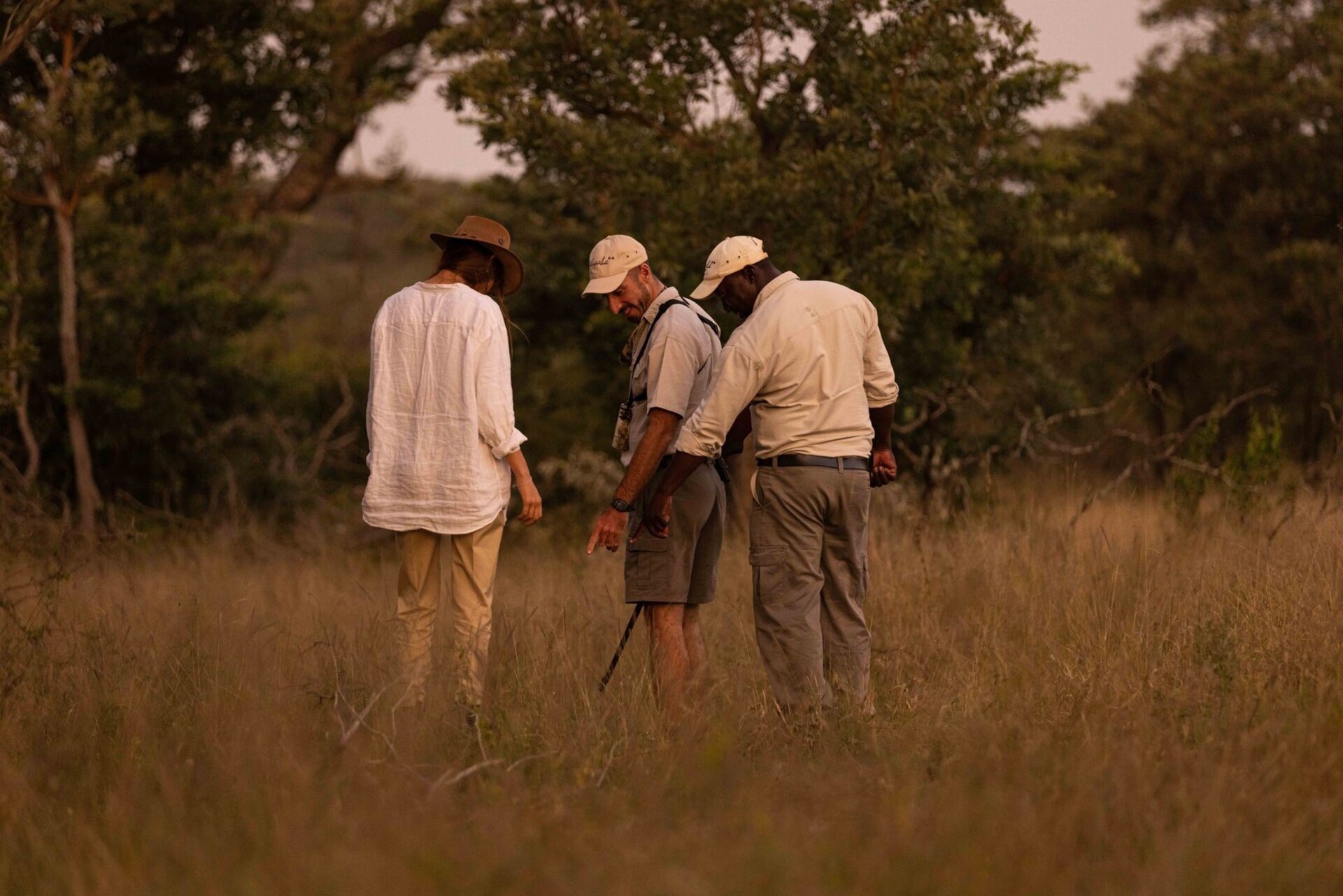Private Safari Escape 1054