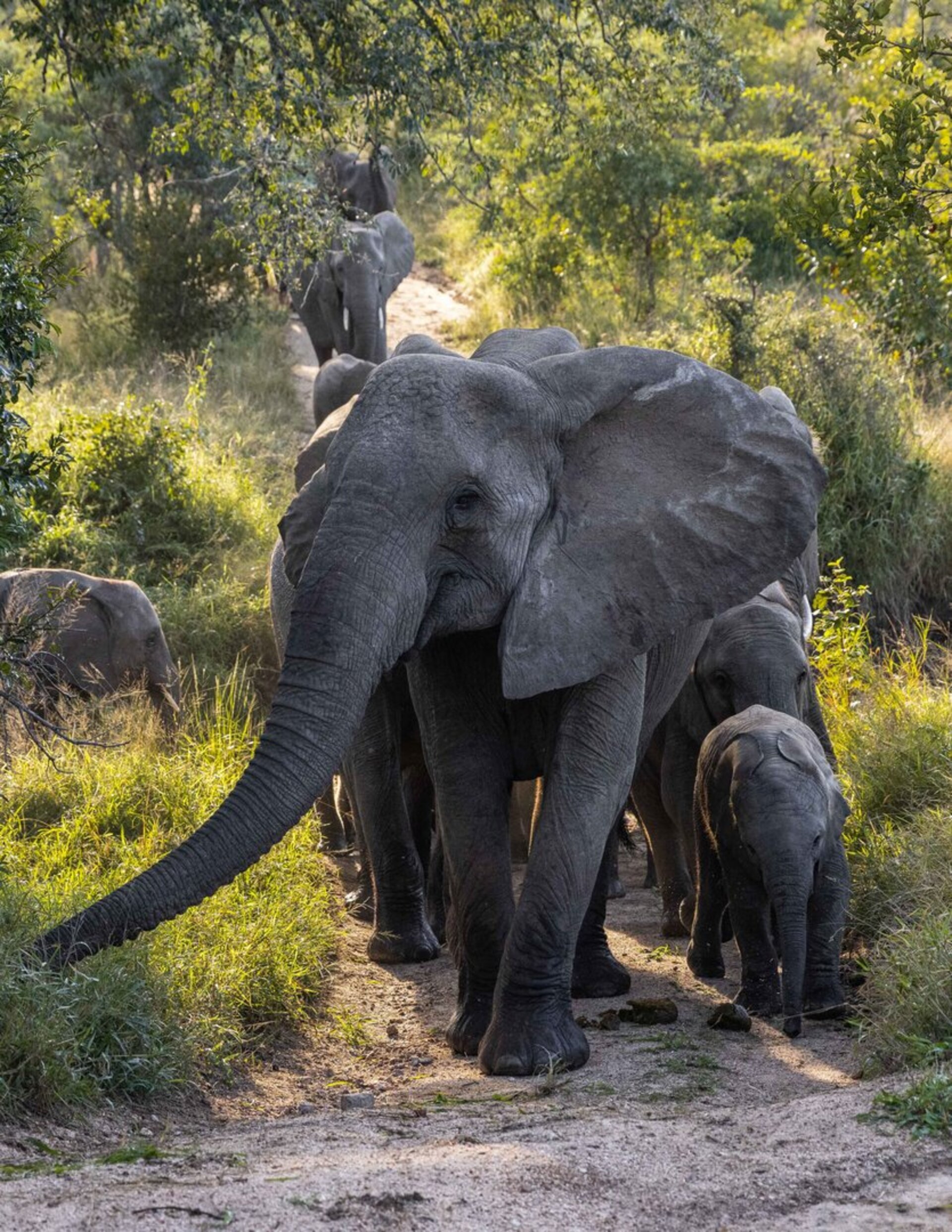 Spacious with Scenic Views & Deck 1055
