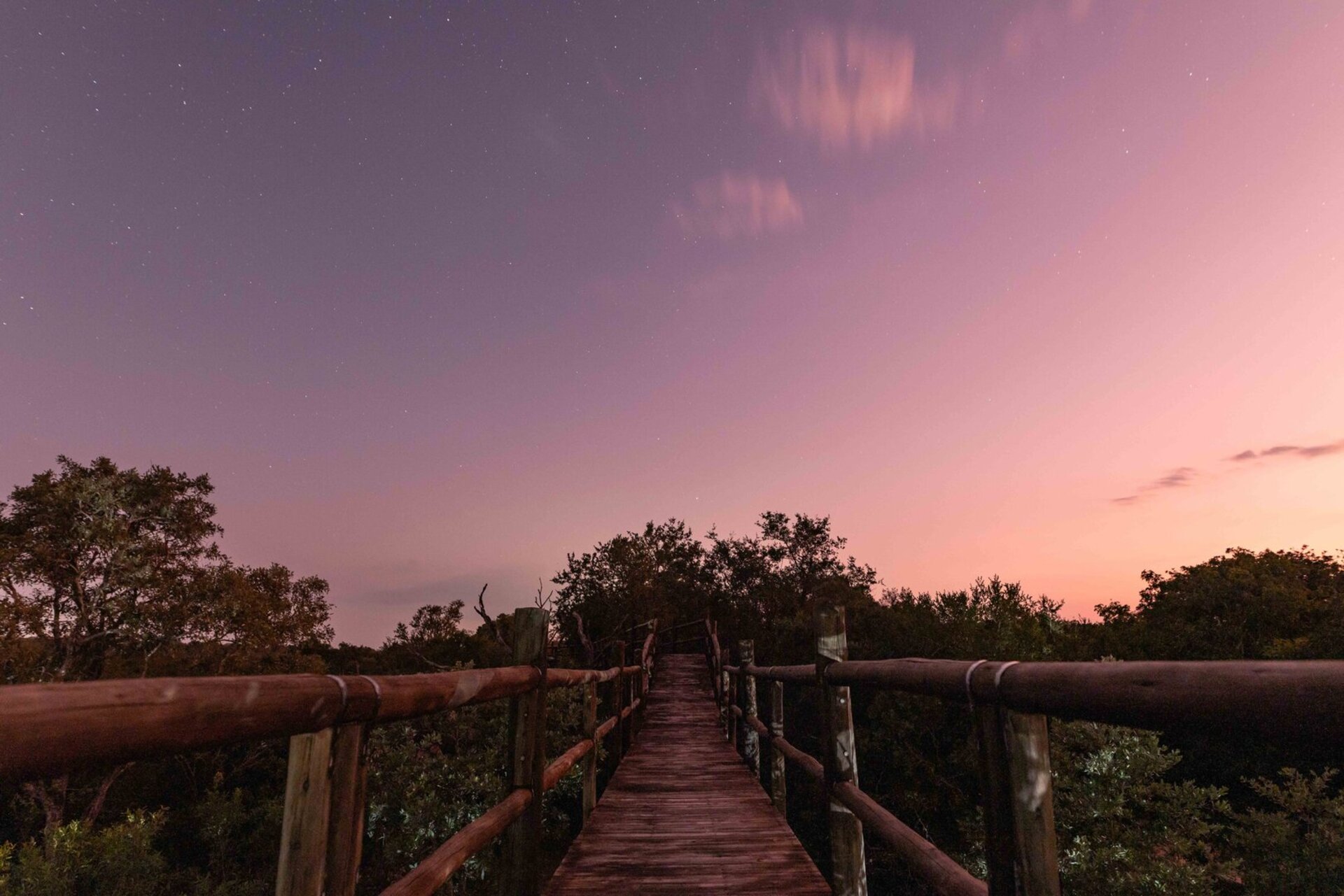 Plunge Pool & Outdoor Dining 1058