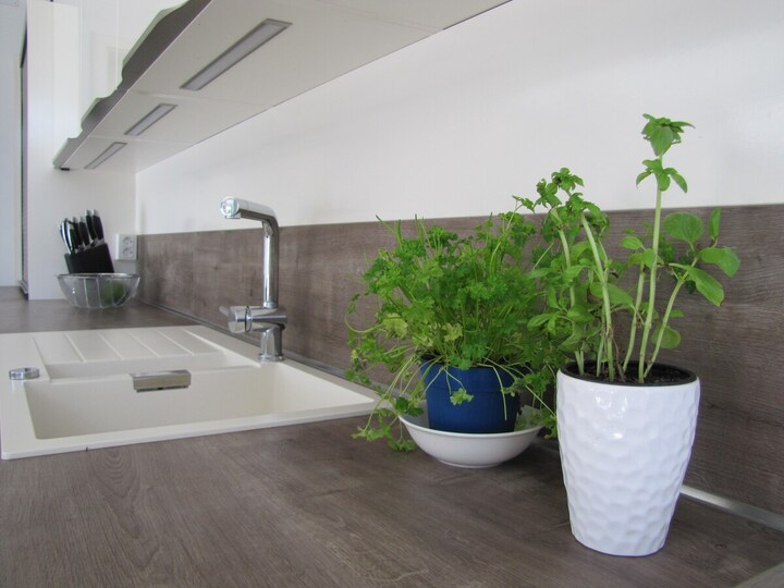 Luxury  in Perfect Location, Sežana Villa 1003