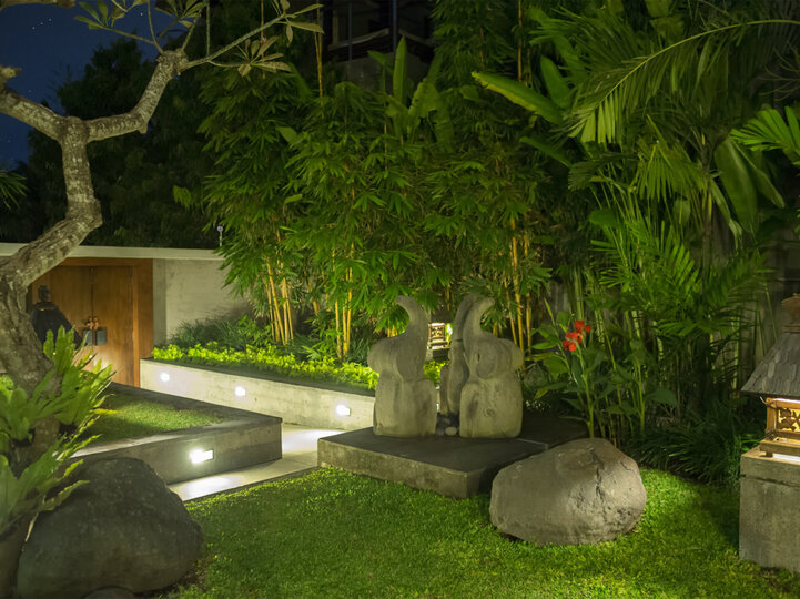 Tropical garden at night