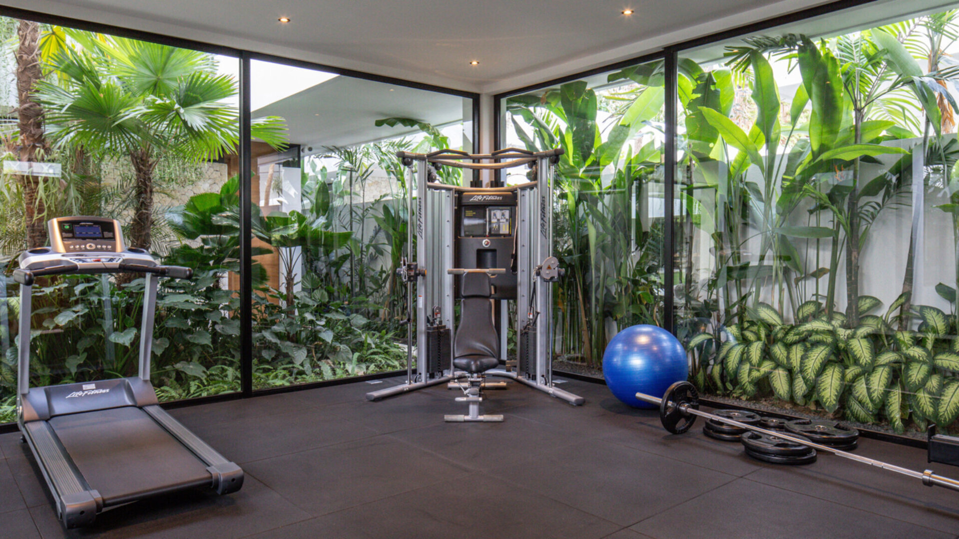 Well equipped private gym