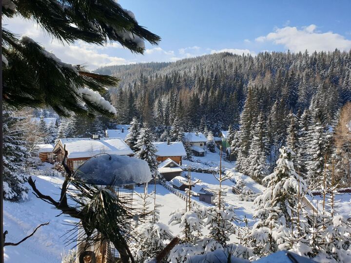 Serene 3-Bed Apartment in Wolfsberg, Sleeps 8, 1069
