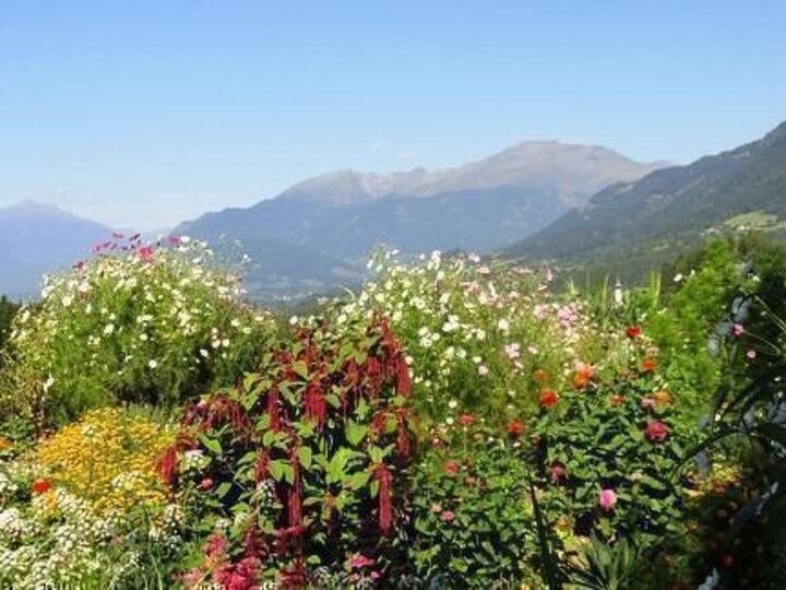 2-Bed Apartment in Spittal an der Drau, Sleeps 6, 1081