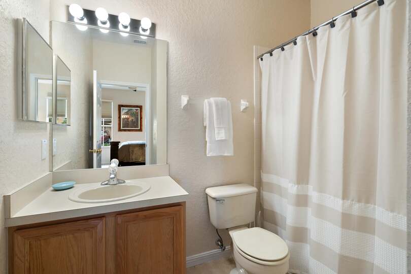 Master King Bathroom 1 Downstairs Tub/Shower Combo