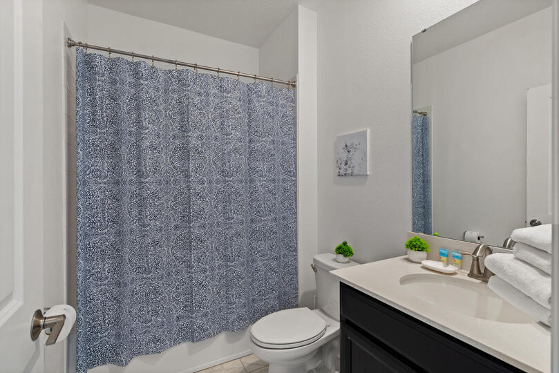 Hall Bathroom 4 Upstairs Tub/Shower Combo