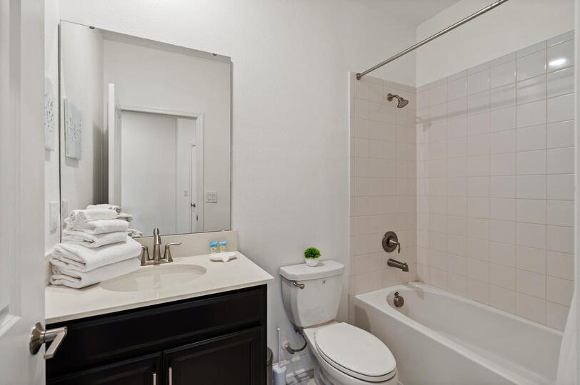 Hall Bathroom 5 Upstairs Tub/Shower Combo